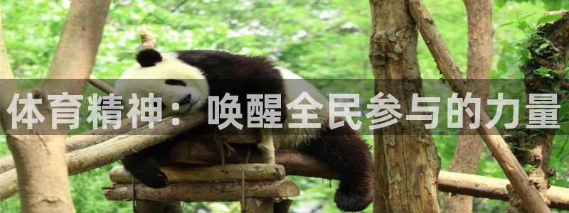 杏悦凯捷平台注册链接