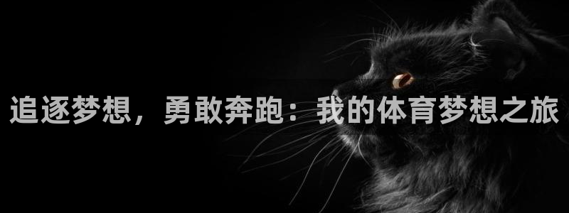 杏悦体育代理申请流程