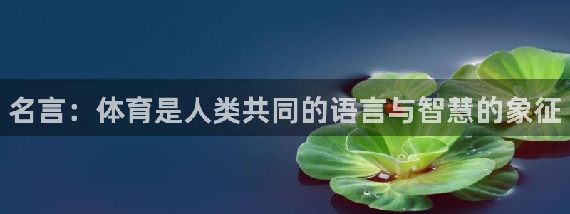 杏悦2官网
