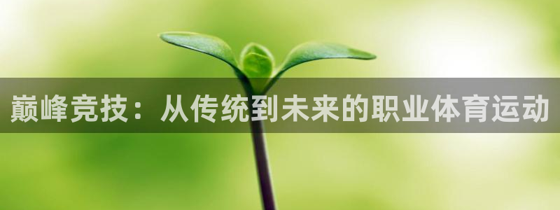 杏悦体育