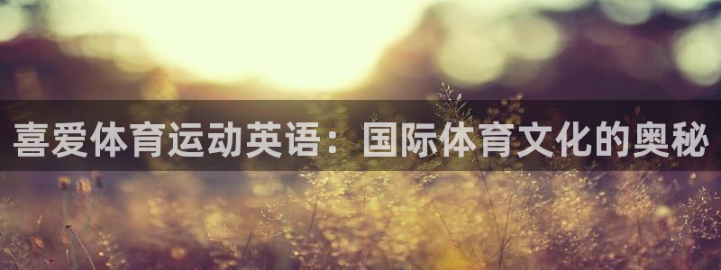 杏悦注册官网