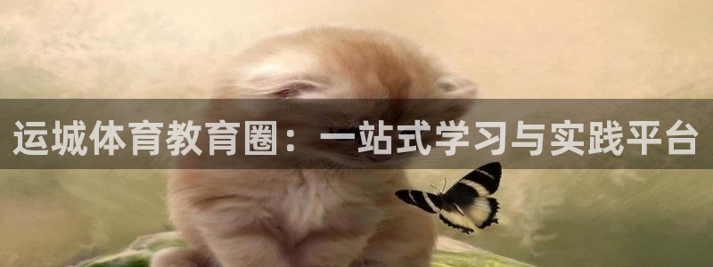 杏悦体育和杏耀是哪个公司的