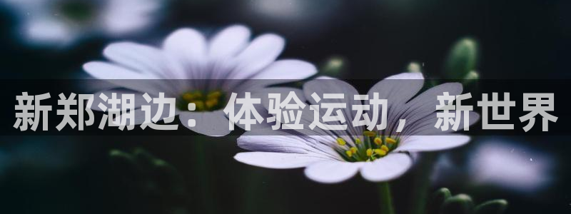 杏悦平台开户链接