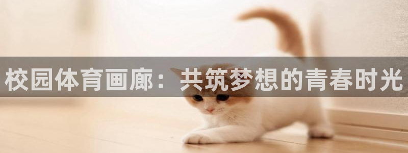 杏悦体育2官网入口