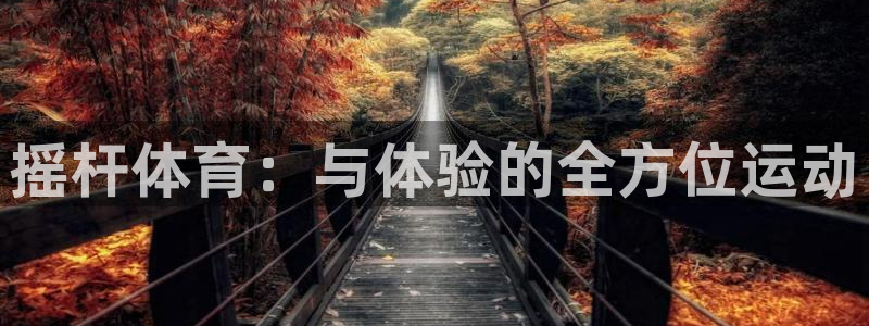 杏悦体育注册登录入口