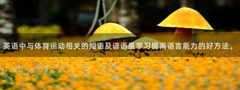 杏悦2平台登录