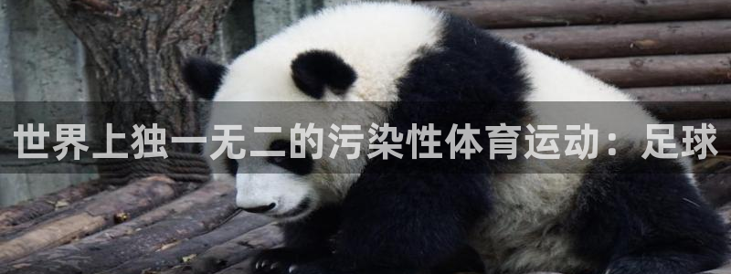 杏悦f平台注册