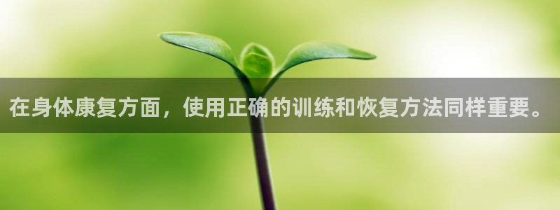 杏悦体育代理