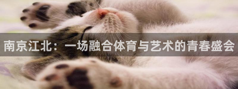 杏悦体育凯捷登陆