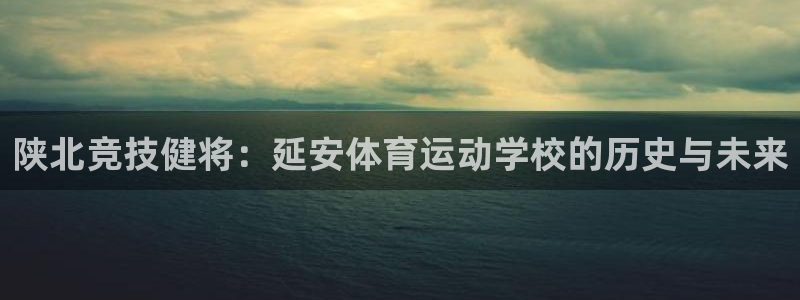 杏悦招商地址