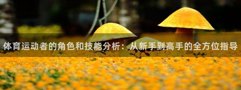 杏悦2登录
