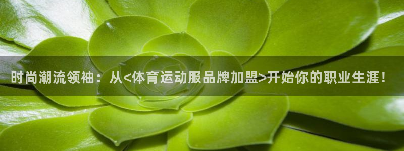 杏悦3代理