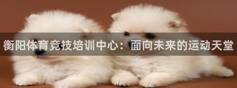 杏悦体育3在线注册