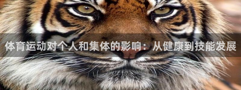 杏悦平台如何