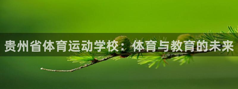 杏悦平台注册