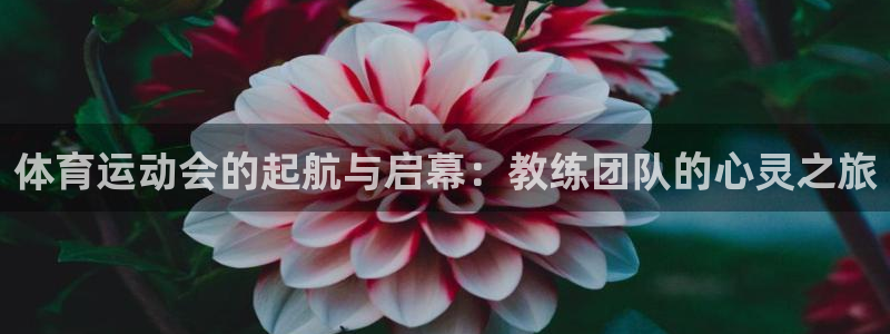 杏悦体育官网入口登录
