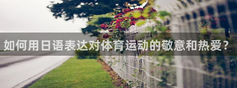 杏悦体育官网注册