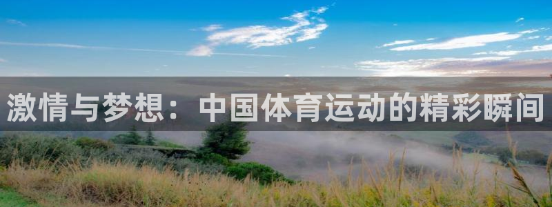 杏悦体育1招商