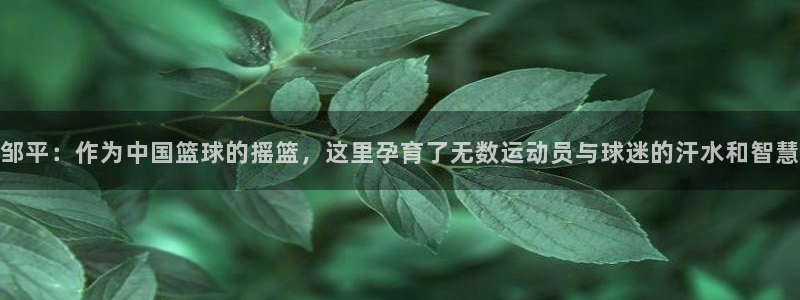 杏悦招商地址