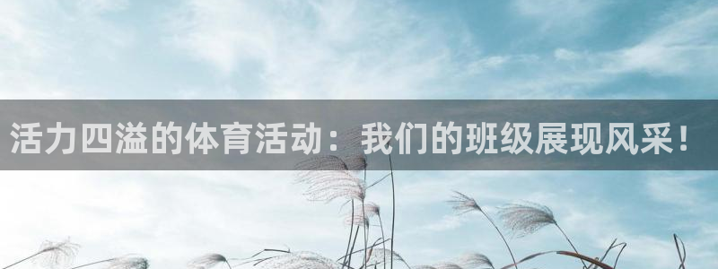 杏悦是什么平台