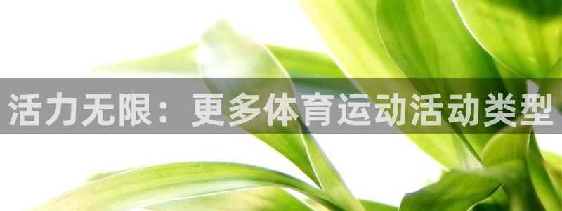杏悦凯捷平台注册链接