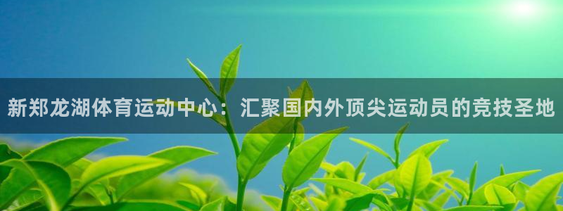 杏悦4官网