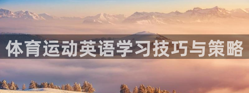 杏悦集团